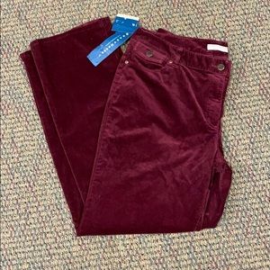 Crazy Horse corduroys size 16 nwt, stretch